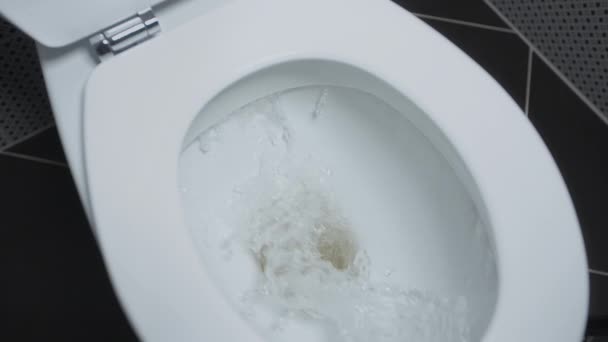 Toilettes Chasse Eau Égoutter Eau Dans Des Toilettes Blanches — Video