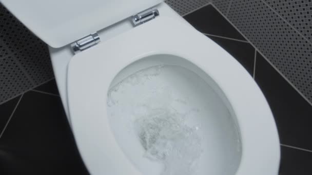 Toaleta Płukaniem Spuścić Wodę Białej Toalety — Wideo stockowe