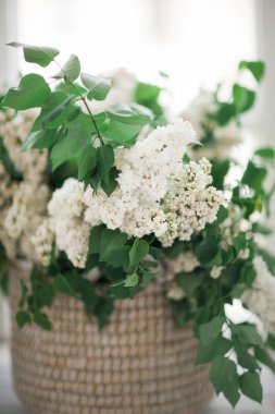 Cam kenarında bir hasır sepet beyaz leylak duruyor