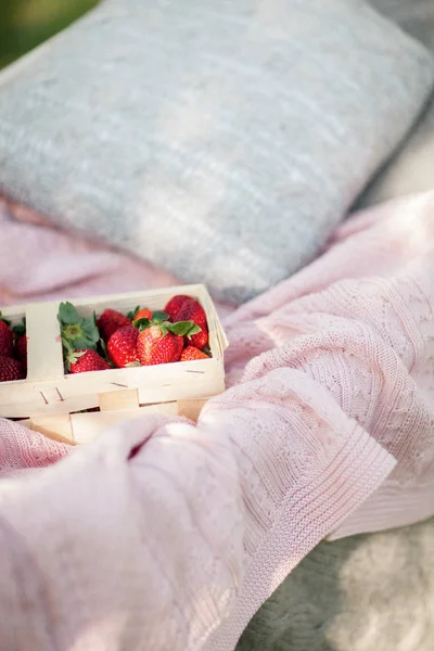 Picnic Primavera Naturaleza Jardín Floreciente Una Hamaca Con Fresas Flores —  Fotos de Stock