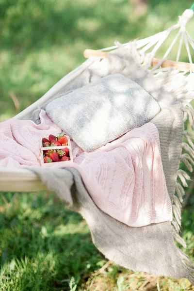정원에서 피크닉을 딸기와 분위기 — 스톡 사진