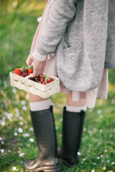 Jarní Piknik Přírodě Kvetoucí Zahradě Houpací Síť Jahodami Květiny Letní — Stock fotografie