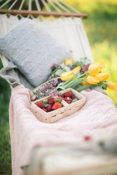 Våren Picknick Naturen Blommande Trädgård Hängmatta Med Jordgubbar Och Blommor — Stockfoto