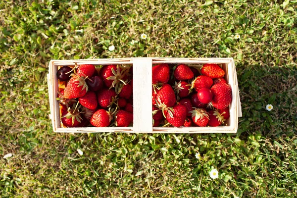 Concepto Baya Orgánica Nutrición Rico Antioxidantes Cuenco Fresas Orgánicas Frutas —  Fotos de Stock