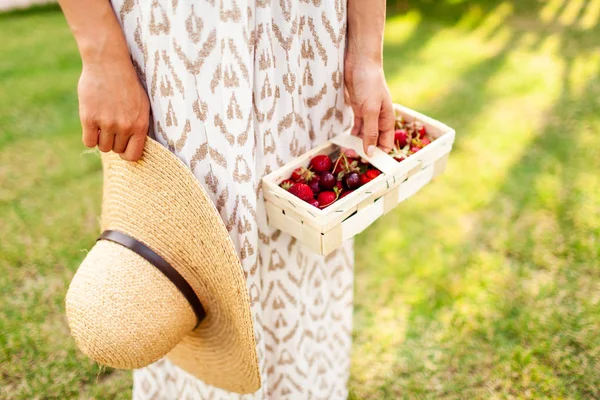 Womans Hand Holds Basket Fresh Organic Strawberry Summer Vibes Concept — Stock Photo, Image