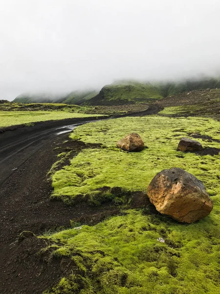 アイスランド 地熱エネルギーと緑の苔覆われた溶岩フィールド — ストック写真