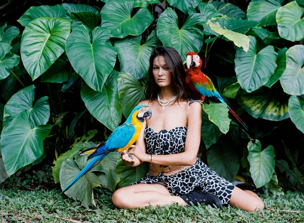 Portrait of young attractive brunette  woman with ara parrots on — Stock Photo, Image