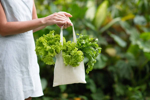 Green lettuce in textile bag. — Stock Photo, Image
