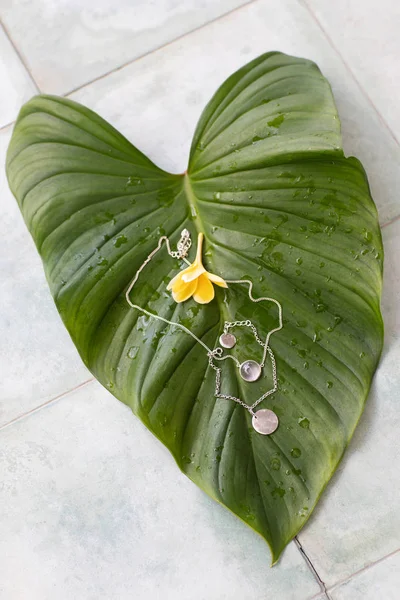 Two silver pendants lie on a large tropical green leaf.  Silver Minimalist geometric necklace with moon stone. Modern jewelry. Tropical Concept jewelry — Stock Photo, Image