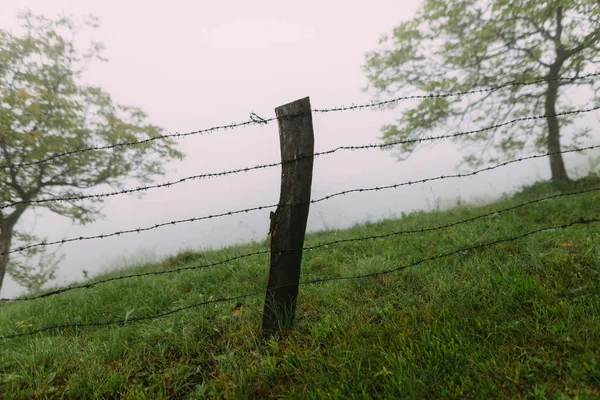 Path Wooden Fence Misty Morning — Stock Photo, Image