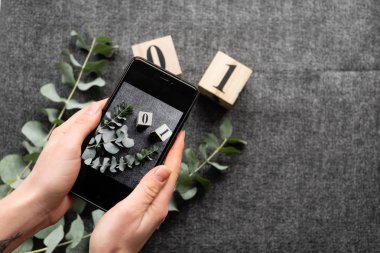 Mobil fotoğraf. Resmi fotoğraf makinesi telefon için. Kızın elinde telefon.