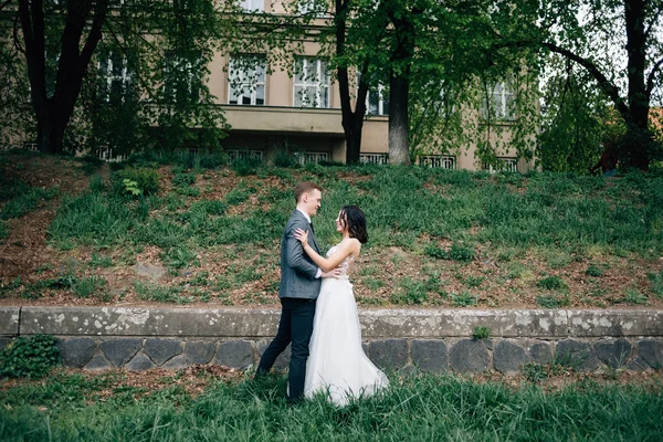 couple in love, the bride and groom, walk in the fresh air. Nature, grass and green trees