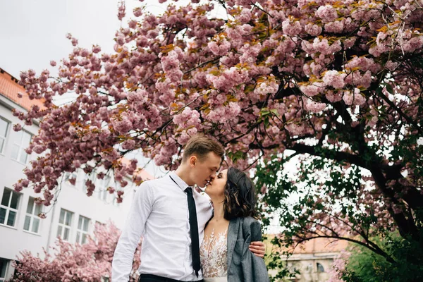 Стильная пара невеста и жених поцелуй возле цветущего дерева . — стоковое фото