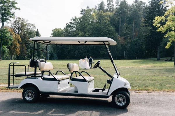 Avrupa'nın ormanlarında düğün yaz yürüyüşü.