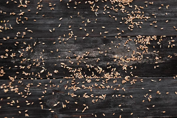 Fundo, grãos de trigo espalhados em uma mesa de árvore — Fotografia de Stock