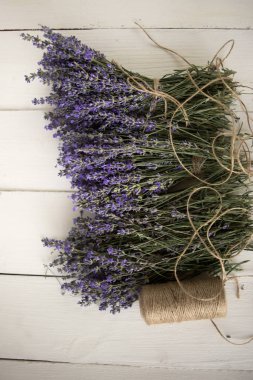 taze kesilmiş kokulu lavanta dekoratif iplik ile buketleri içine örülmüş.