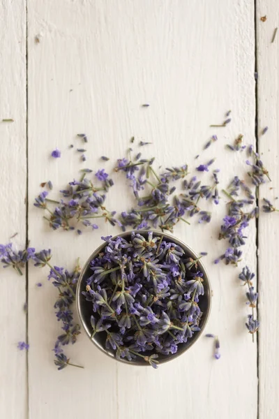 On a white background is a plate of fragrant lavender and flowers are scattered around it. — Stock Photo, Image