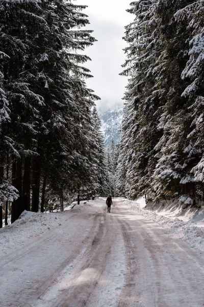 A traveler alone walks on a road in the mountains, winter snow lies on the sidelines, — Stock Photo, Image