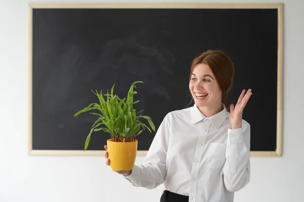 Professor biologist woman in a lesson in front of a blank board. Demonstration of the plant obtained by growing in the laboratory. Biology at the university. The girl in science. Delight and emotions