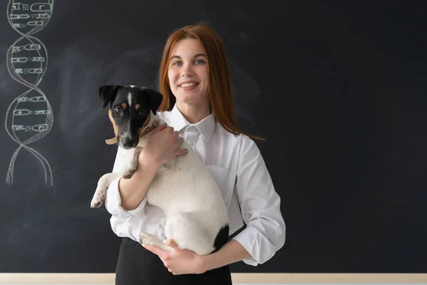 School biology teacher with a dog Jack Russell in his arms. A beautiful girl leads an anatomy lesson in front of a blackboard on which a biological chain is drawn. The study of the body structure of