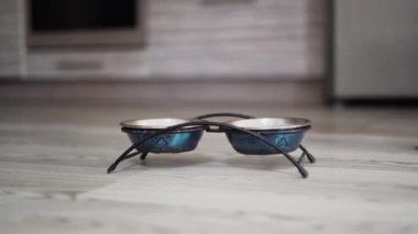 Kadın bacakları kaseye gider, kedi maması döker. Kel sfenks sürüsü besleyiciye gelir.