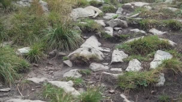 一只雄性脚踏在石头上的特写。远足的概念 — 图库视频影像