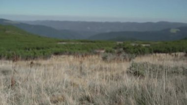 Büyük ve ağır sırt çantalı bir turist kız çimenlerde yürüyor..