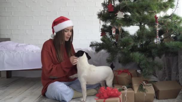 Een jong meisje gekleed in een rode hoed en een trui zit in de buurt van een kerstboom en heeft plezier spelen met een hond Jack Russell — Stockvideo