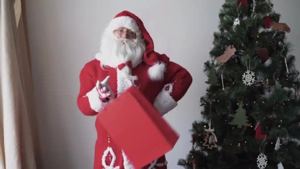 快乐的圣塔克洛斯的肖像。站在圣诞树旁，拿着一个大购物袋 — 图库视频影像