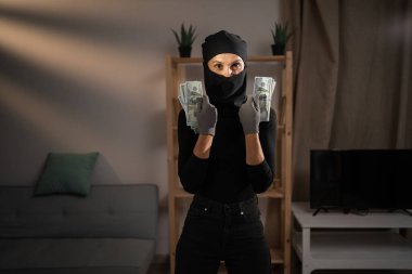 Kar maskeli kadın hırsız elinde dolarlarla kameraya para doğrultuyor. Hırsızlık, soygun ve hırsızlık konsepti