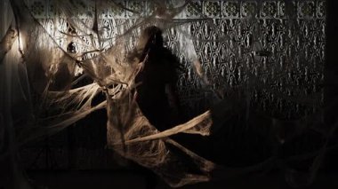 Gece sihirli ışıkta dans eden karanlık gölge fantezi kadın. Örümcek ağlarındaki dansçı prenses. Boşluğu kopyala