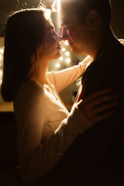 Genç, romantik çift yüz yüze öpüşüyor ve evde eğleniyorlar. Boşluğu kopyala