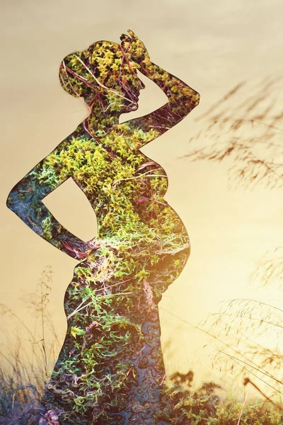 Doble Exposición Silueta Mujer Embarazada Combinada Con Naturaleza —  Fotos de Stock