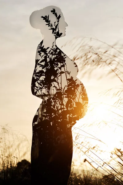 Double Exposure Silhouette Pregnant Woman Combined Nature — Stock Photo, Image