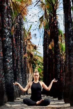 Lotus pozisyonda oturan ve açık havada meditasyon siyah spor genç kadın. Erken gebelik kadında. Öncesi Doğum sonrası egzersiz, sağlıklı bir yaşam tarzı. Doğada tropikal, palmiye ağaçları, sıradışı sahne siyah mayo ile kaplı yol çekici sarışın kadın