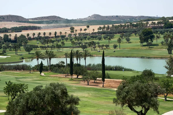 Typical spanish golf fields, meadows. Green lawns, palm trees and lake for golf sport. Green area, tropical climate. idyllic sunny scenery for playing, gaming. Province of Alicante Costa Blanca. Spain