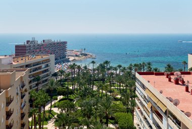 Los Locos at summertime. August, high season, hot weather. Beach with lot of colorful sun umbrellas and tourist sunbathing and swimming, seen through the lush palm tree park. Torrevieja highrise houses city. Province of Alicante. Costa Blanca. Spain clipart
