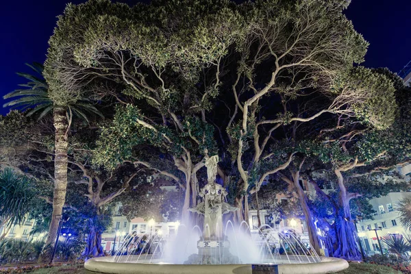 ガブリエル ミロ広場 噴水彫刻や巨大なゴムの木美しく青夜点灯します この場所は有名な最も美しいアリカンテ スペイン リゾート都市です コスタ ブランカ スペイン — ストック写真
