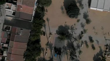 Doğrudan palm view ana kare ve sokak Tabarca adasının ağaçları kaplı. Tabarca çok popüler yaz seyahat yerler turistler için. Alicante il. İspanya
