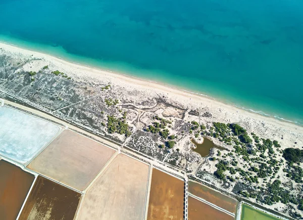 Vue Aérienne Panoramique Sur Les Oiseaux Réserve Naturelle Santa Pola — Photo