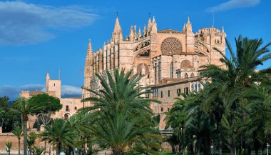 Lush palm trees and Cathedral of Palma de Mallorca against blue sky, building was built on a cliff rising out of the sea. Majorca, Balearic Islands, Spain clipart