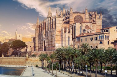 Palma de Mallorca veya La Seu katedral uçurumdan denizden yükselen inşa edildi. Üst üste, su kuyusu-damat bulunan meşhur mekanlar dış Gotik Roman Katolik kilise palmiye ağaçları. Mayorka, Balear Adaları İspanya