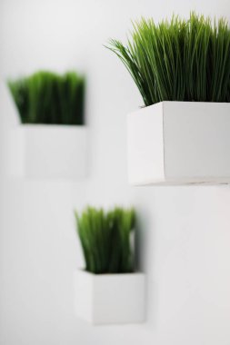 Yeşil çimenlerin üzerinde beyaz tencere üzerinde beyaz