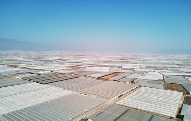 Almerimar, İspanya seralarda havadan görünümü