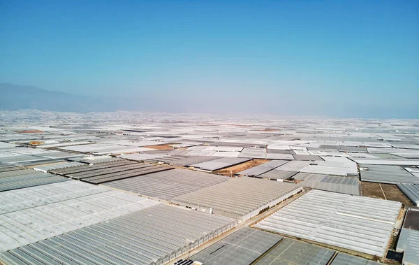 Aerial view greenhouses in the Almerimar, Spain — Stock Photo, Image