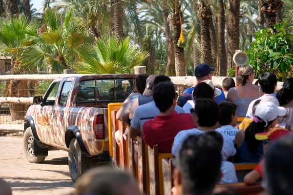 Сафари-машина с туристами в зоопарке, Эльче, Испания — стоковое фото
