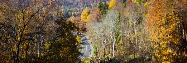 Panoramatický obraz nádherný podzimní kraj. Sigulda, Lotyšsko — Stock fotografie