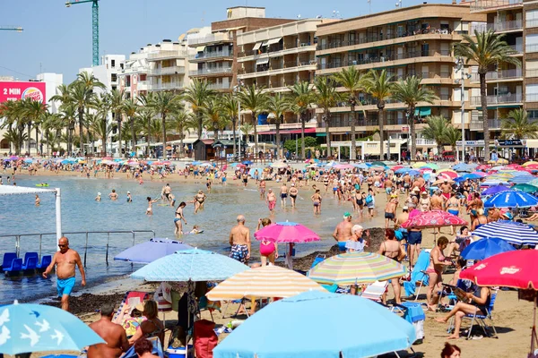 Turist kalabalığı insanlar Torrevieja tatil kenti Playa Del Cura kumlu plajda zaman geçirmek, yüksek katlı bina palmiye ağaçları, güneşli bir gün. Costa Blanca, İspanya — Stok fotoğraf