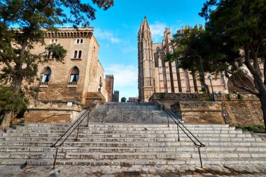 Cathedral La Seu in the Palma de Mallorca, İspanya