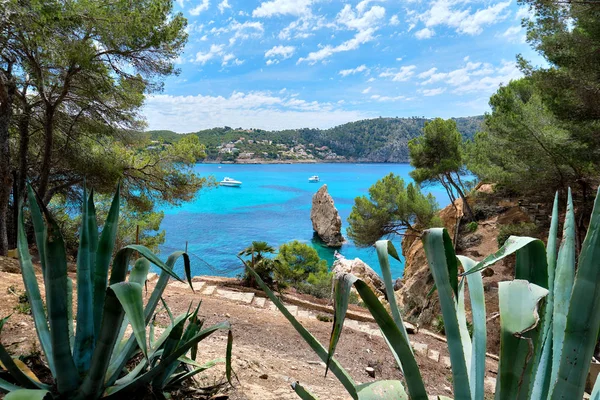 Schilderachtige landschap heldere kleuren Cala en CRANC van Mallorca — Stockfoto